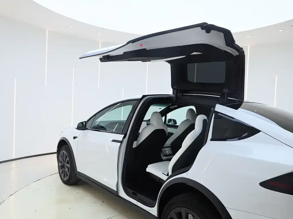 Tesla Model X — фото 5