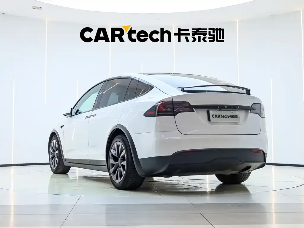 Tesla Model X — фото 10