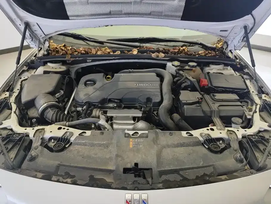 Buick Regal — фото 10