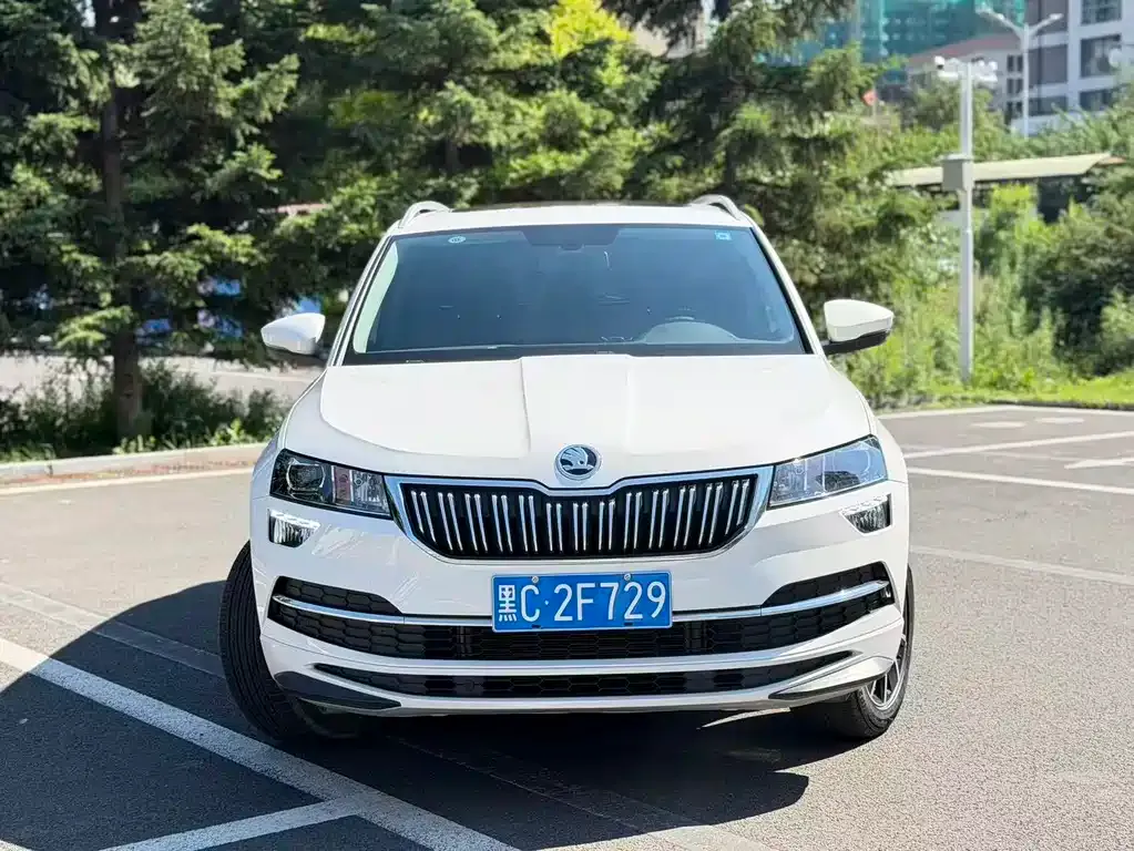 Skoda Karoq — фото 5