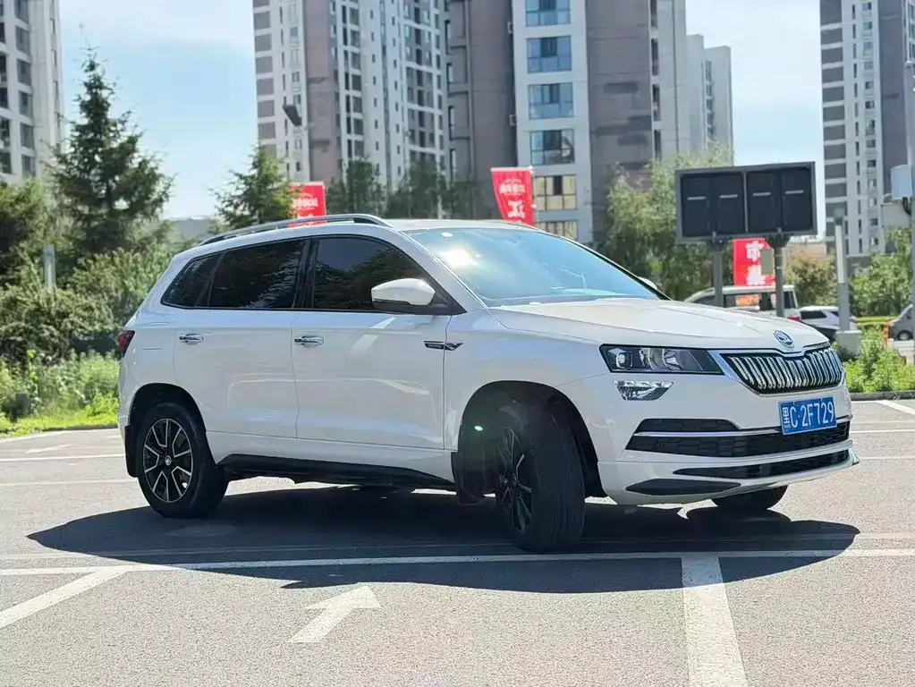 Skoda Karoq — фото 10