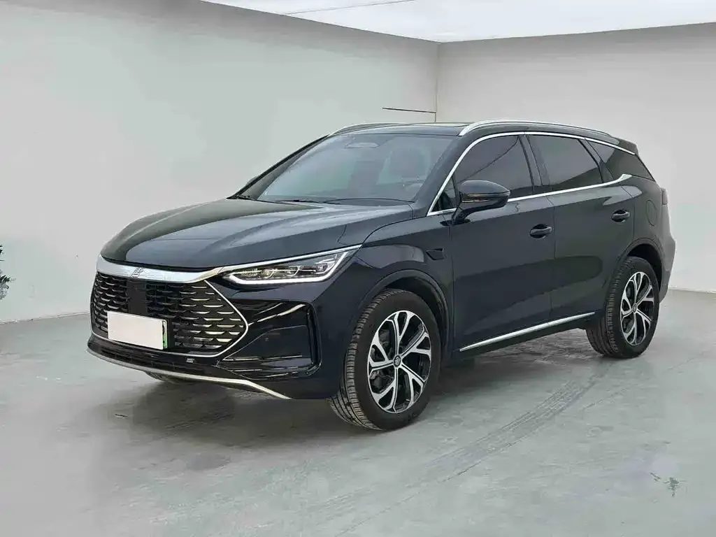 BYD Tang New Energy — фото 1