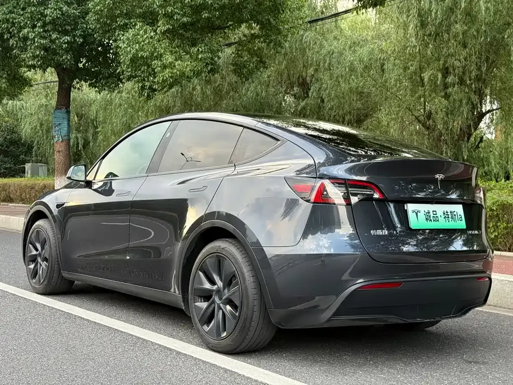 Tesla Model Y — фото 10
