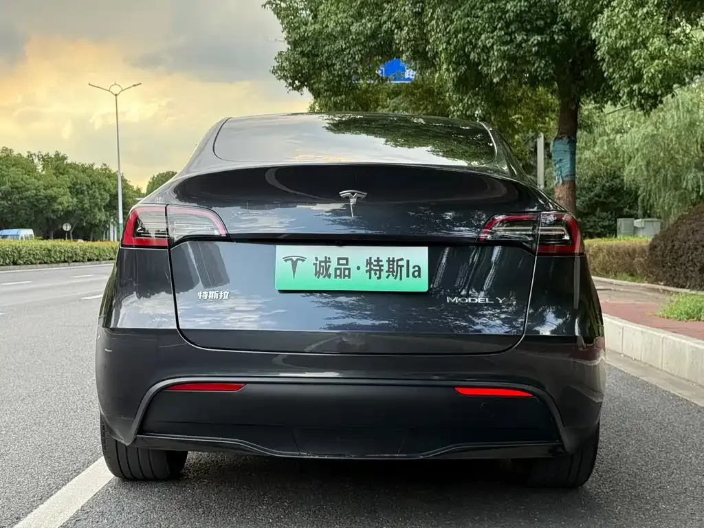 Tesla Model Y — фото 2