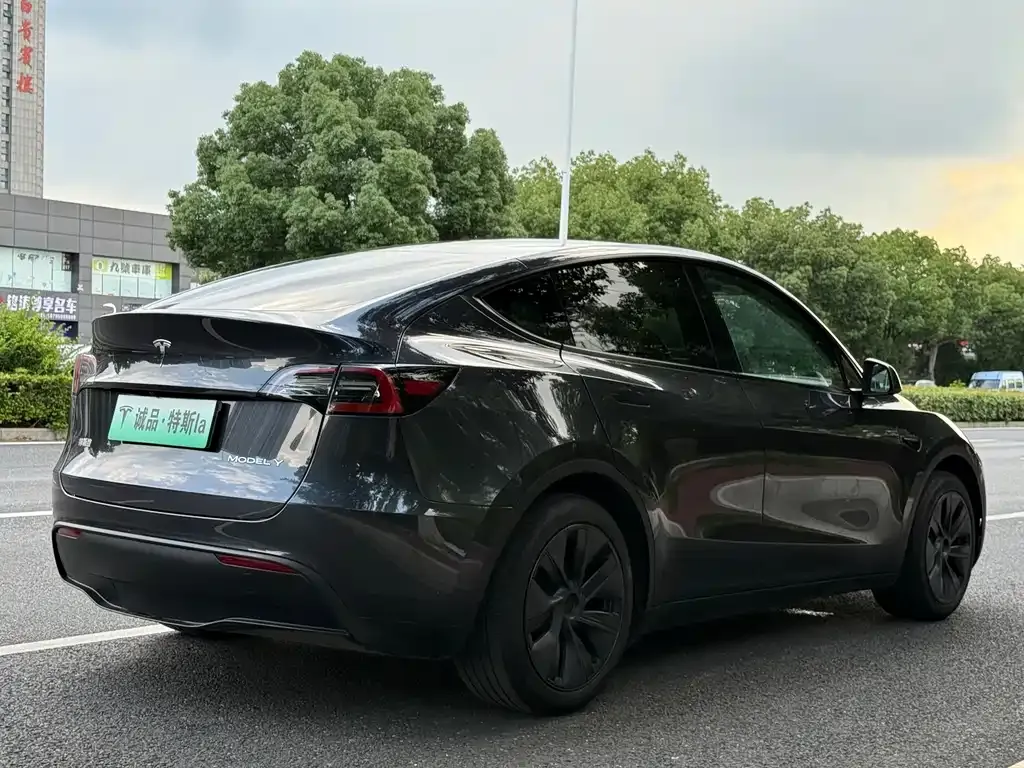 Tesla Model Y — фото 9