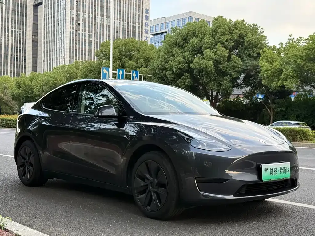 Tesla Model Y — фото 5
