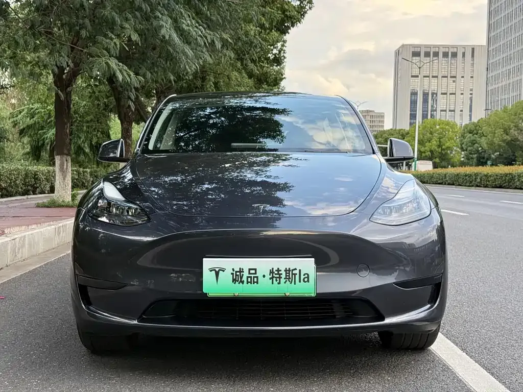 Tesla Model Y — фото 4