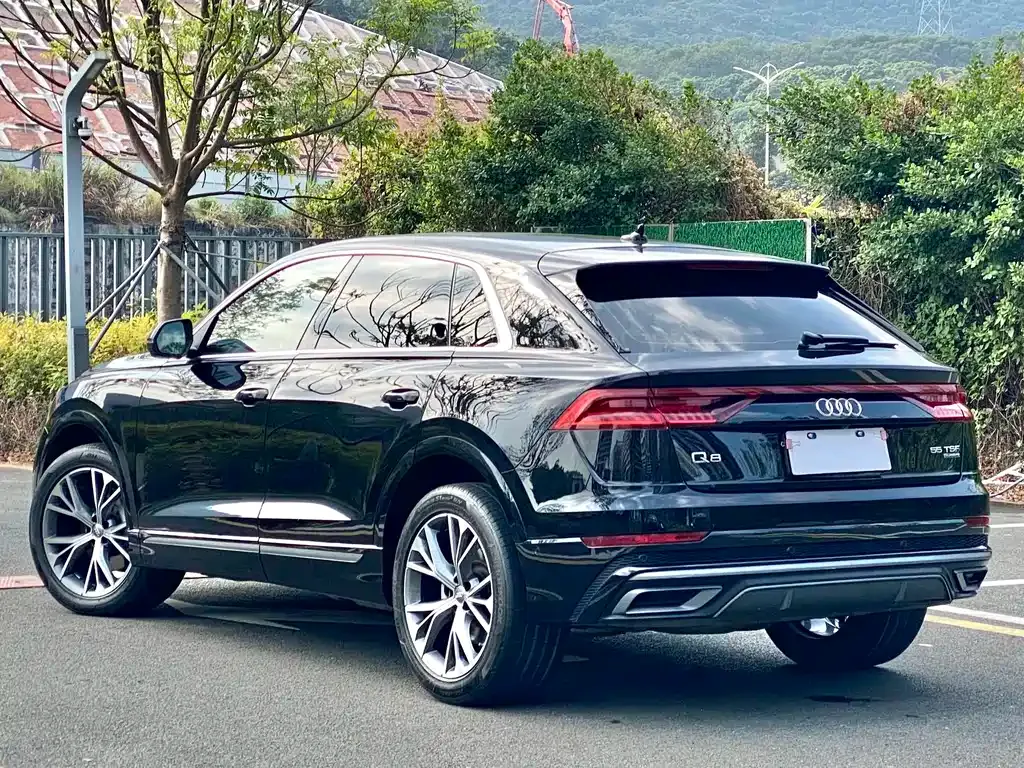Audi Q8 — фото 9