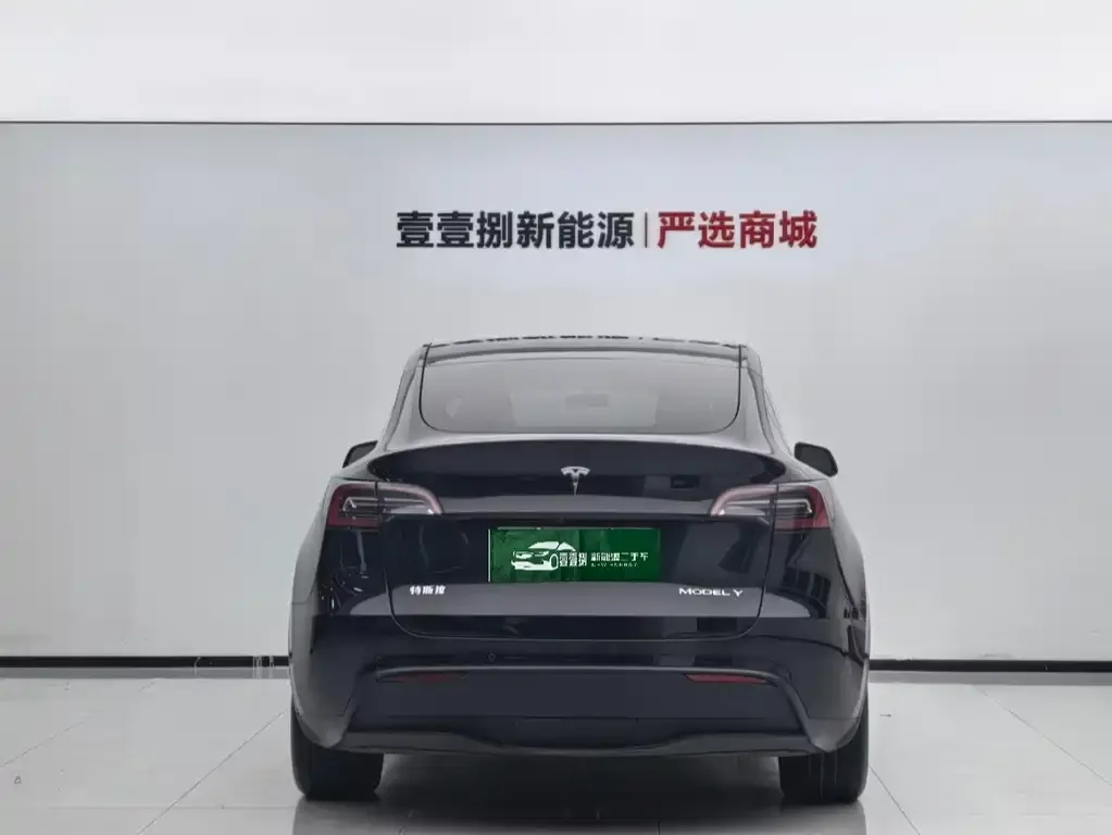 Tesla Model Y — фото 8