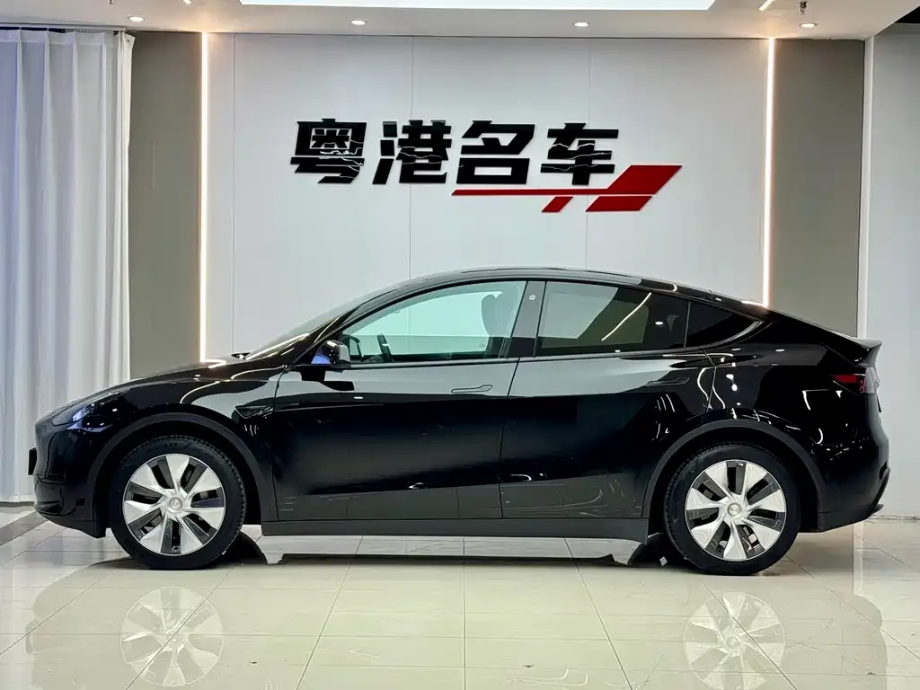 Tesla Model Y — фото 10