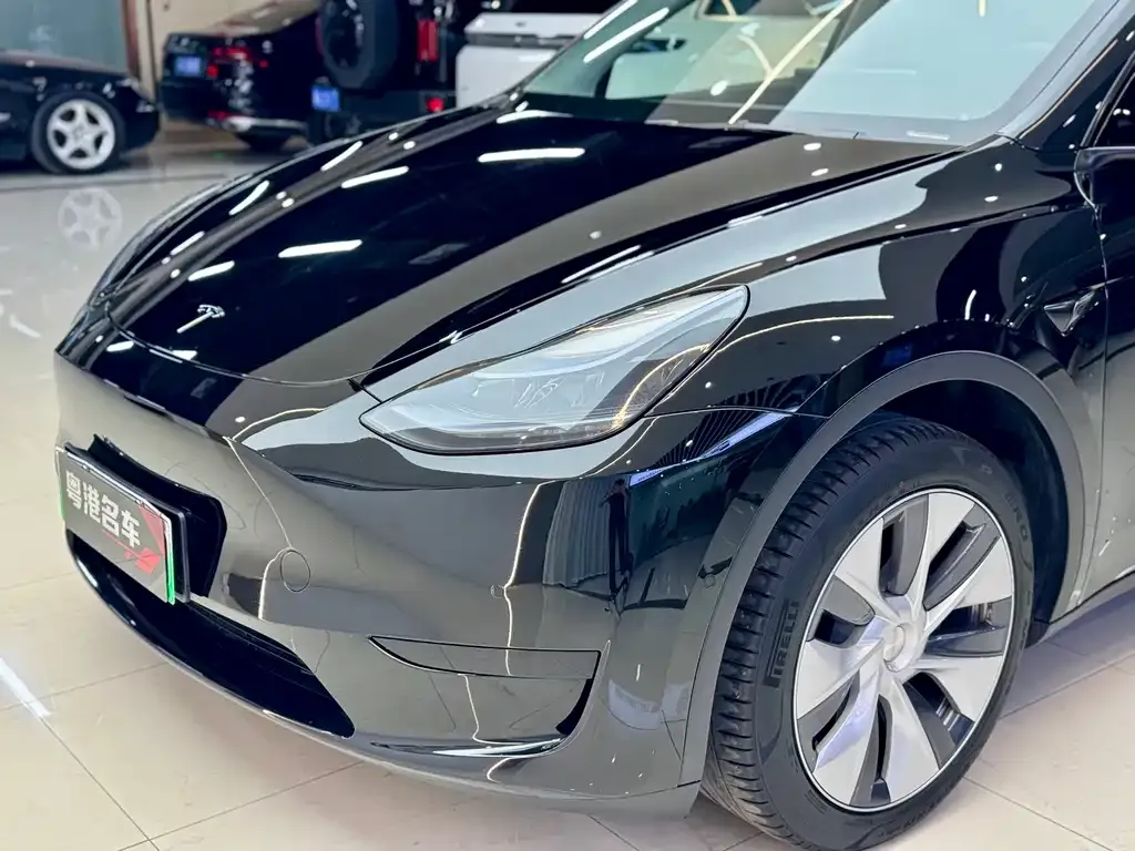 Tesla Model Y — фото 5