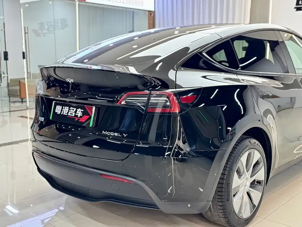 Tesla Model Y — фото 3