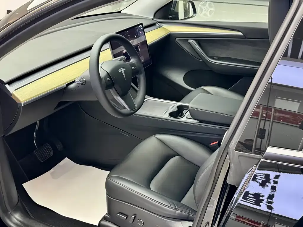 Tesla Model Y — фото 9