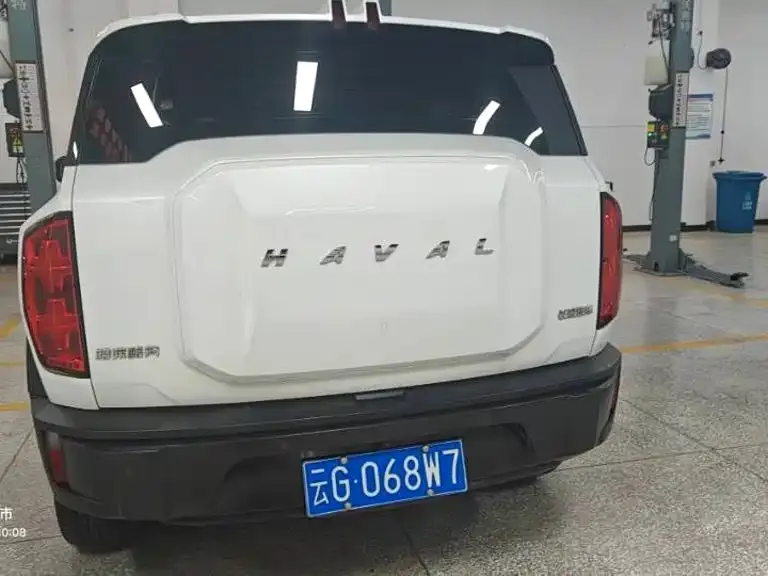 Haval Cool Dog — фото 4