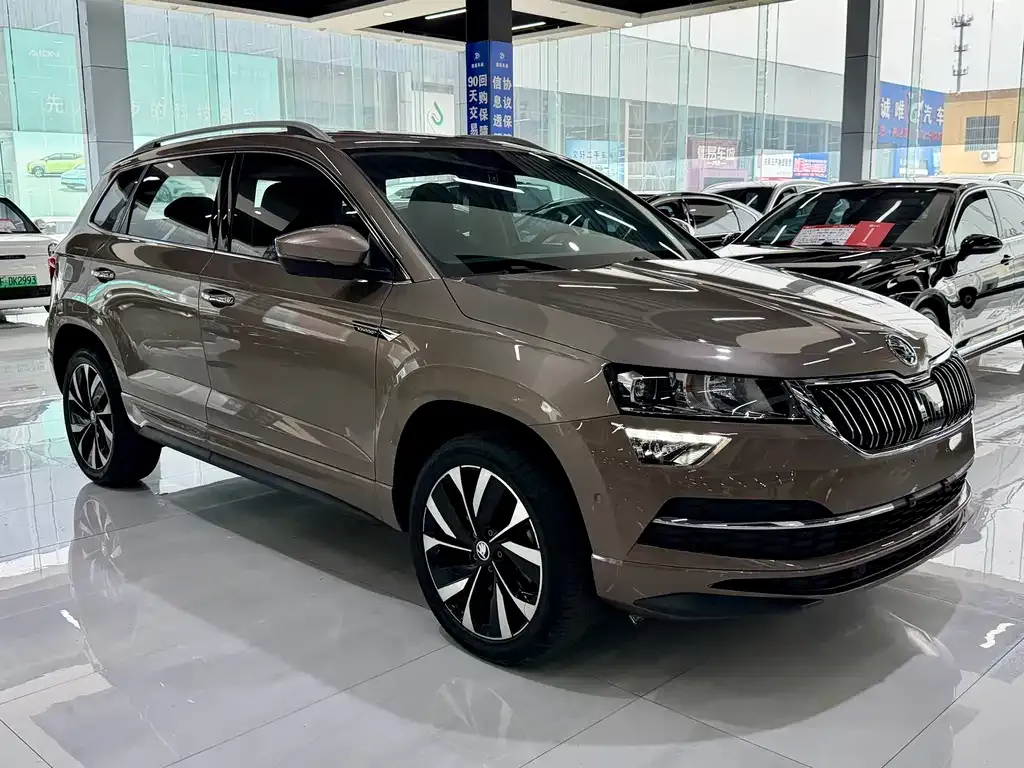 Skoda Karoq — фото 7