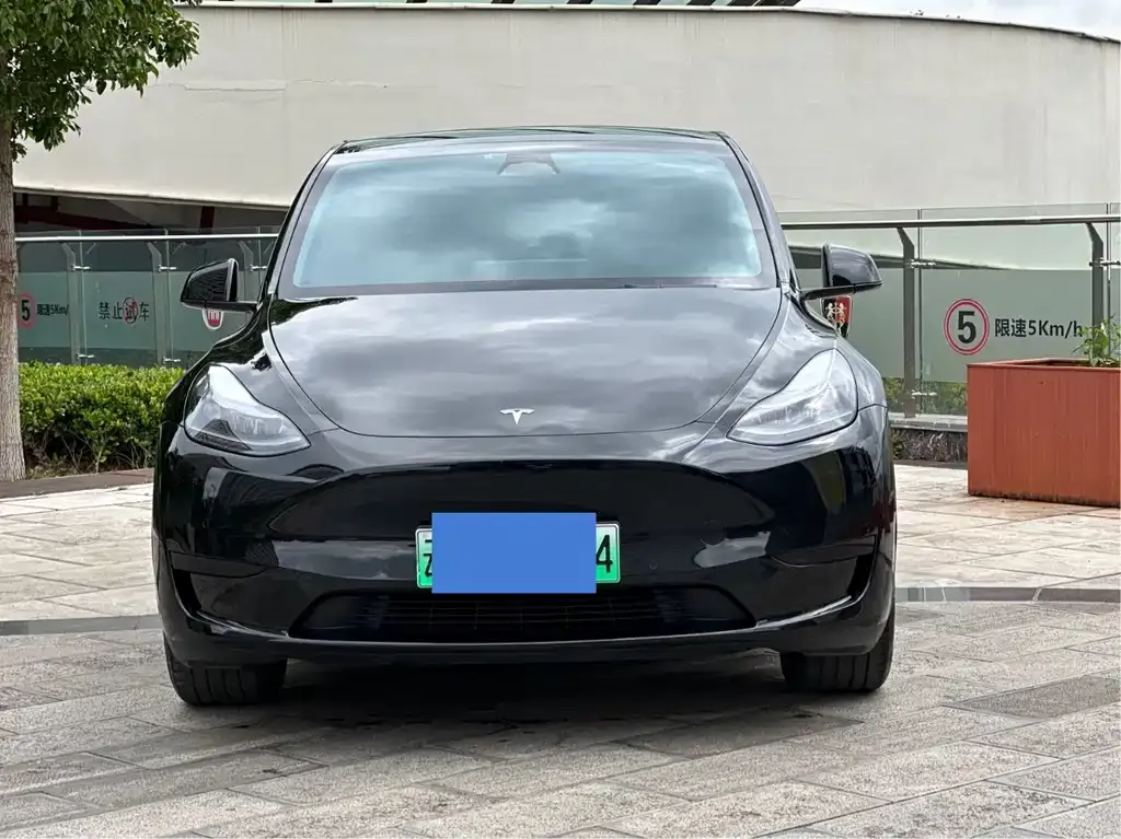 Tesla Model Y — фото 6