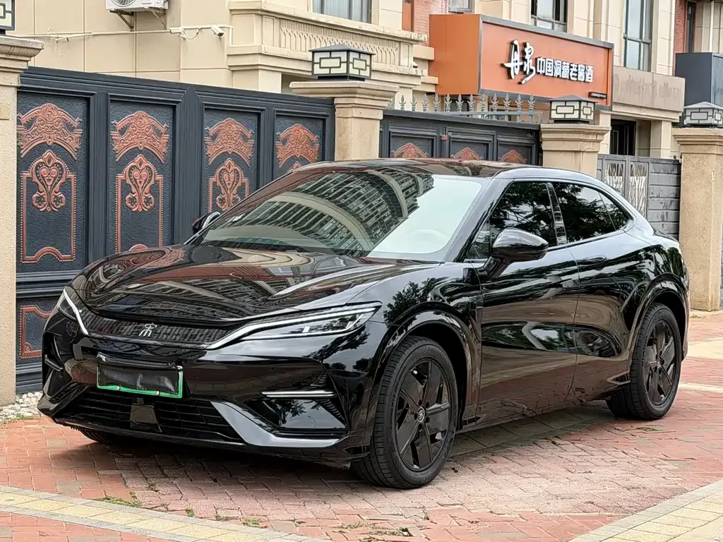 BYD L EV — фото 1