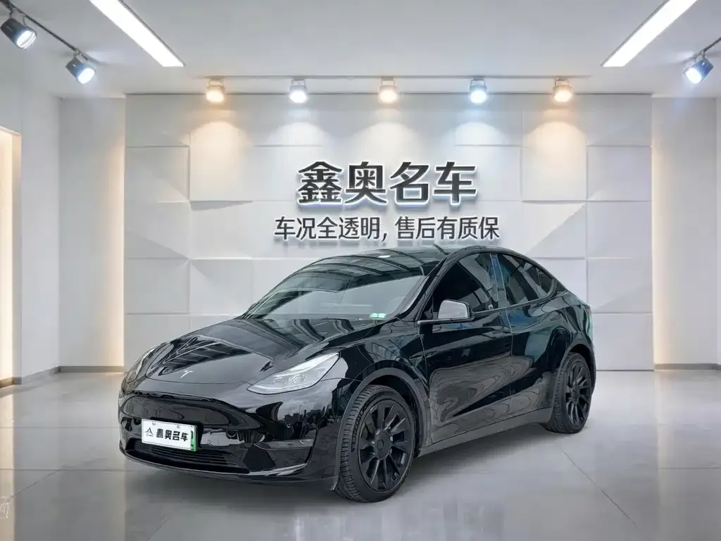 Tesla Model Y — фото 1