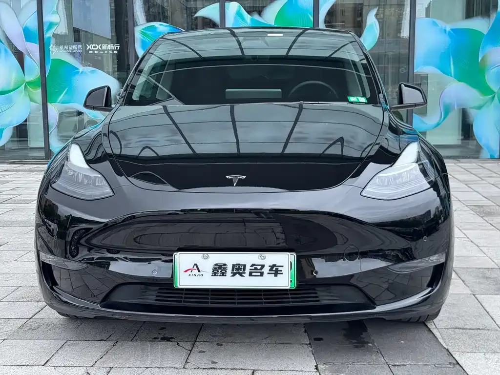 Tesla Model Y — фото 7