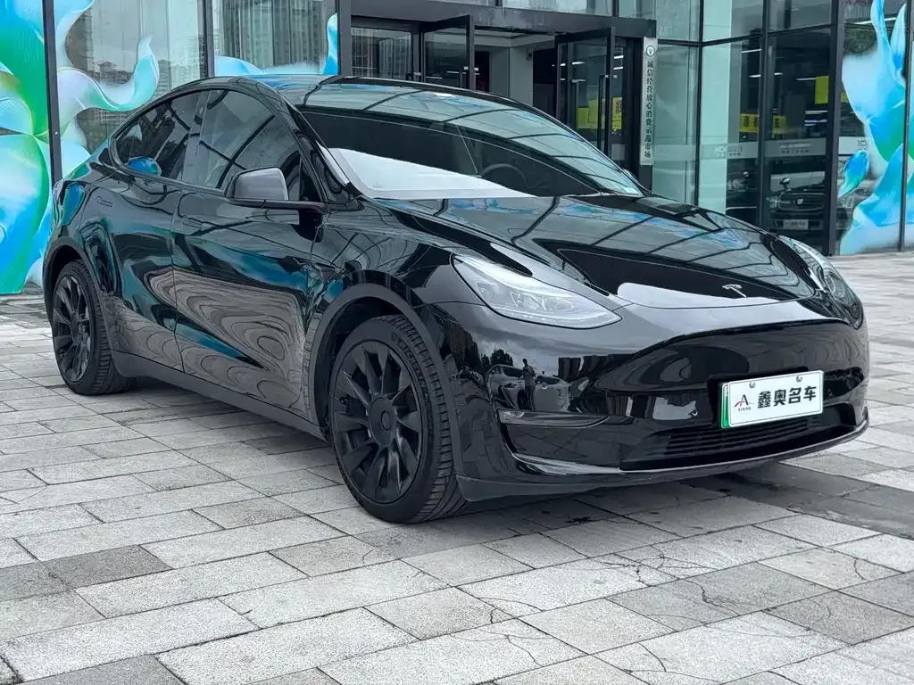 Tesla Model Y — фото 9