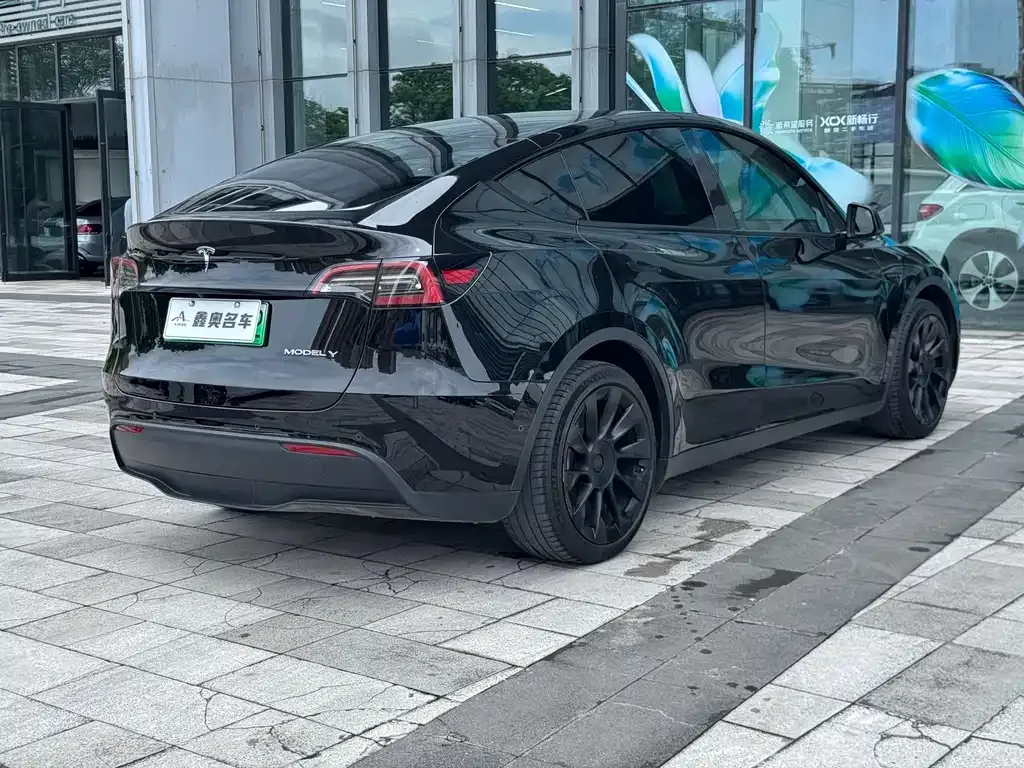 Tesla Model Y — фото 8