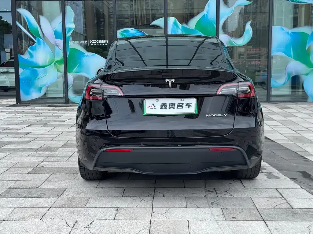 Tesla Model Y — фото 5