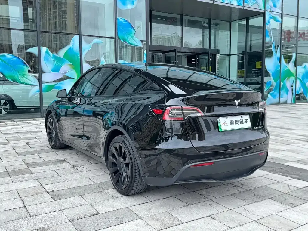 Tesla Model Y — фото 10