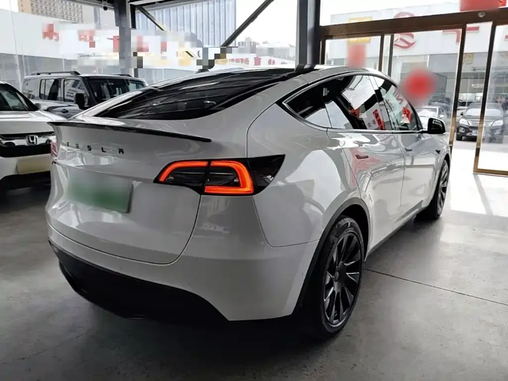 Tesla Model Y — фото 3