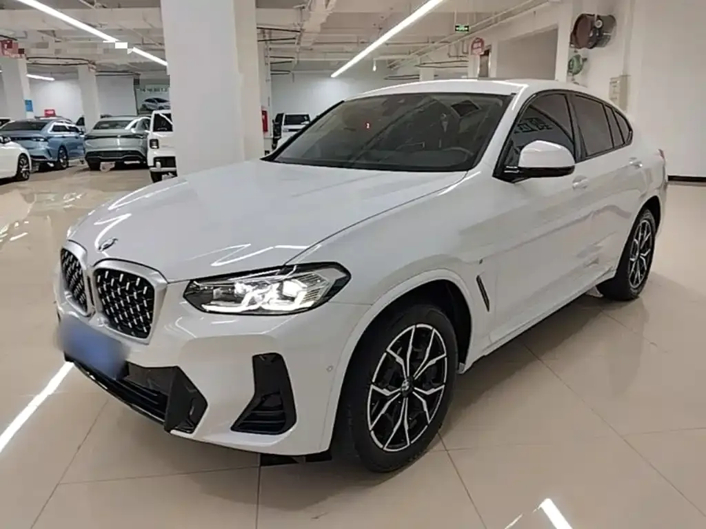 BMW X4 — фото 1