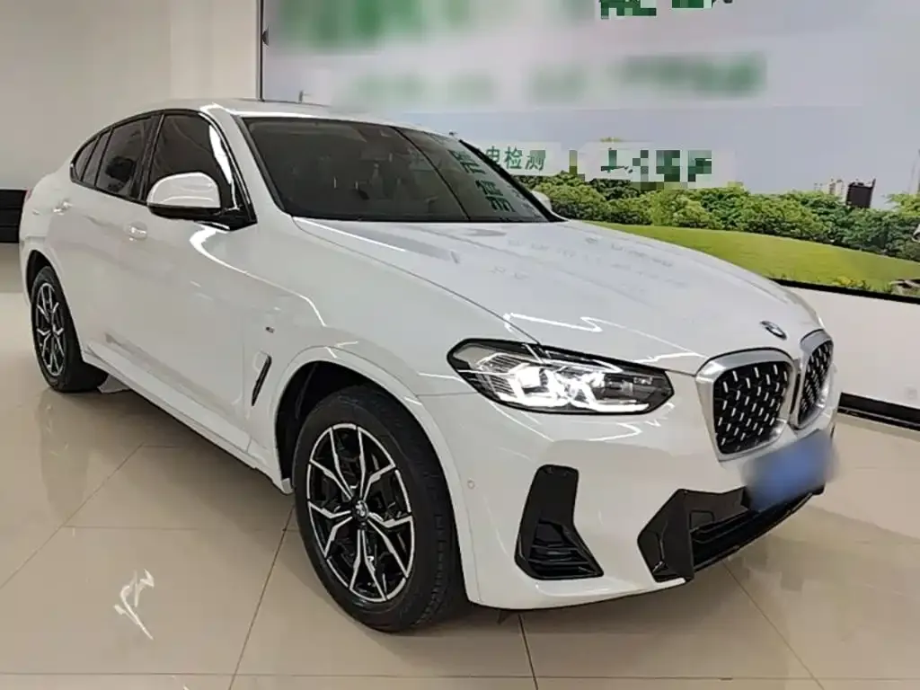 BMW X4 — фото 10
