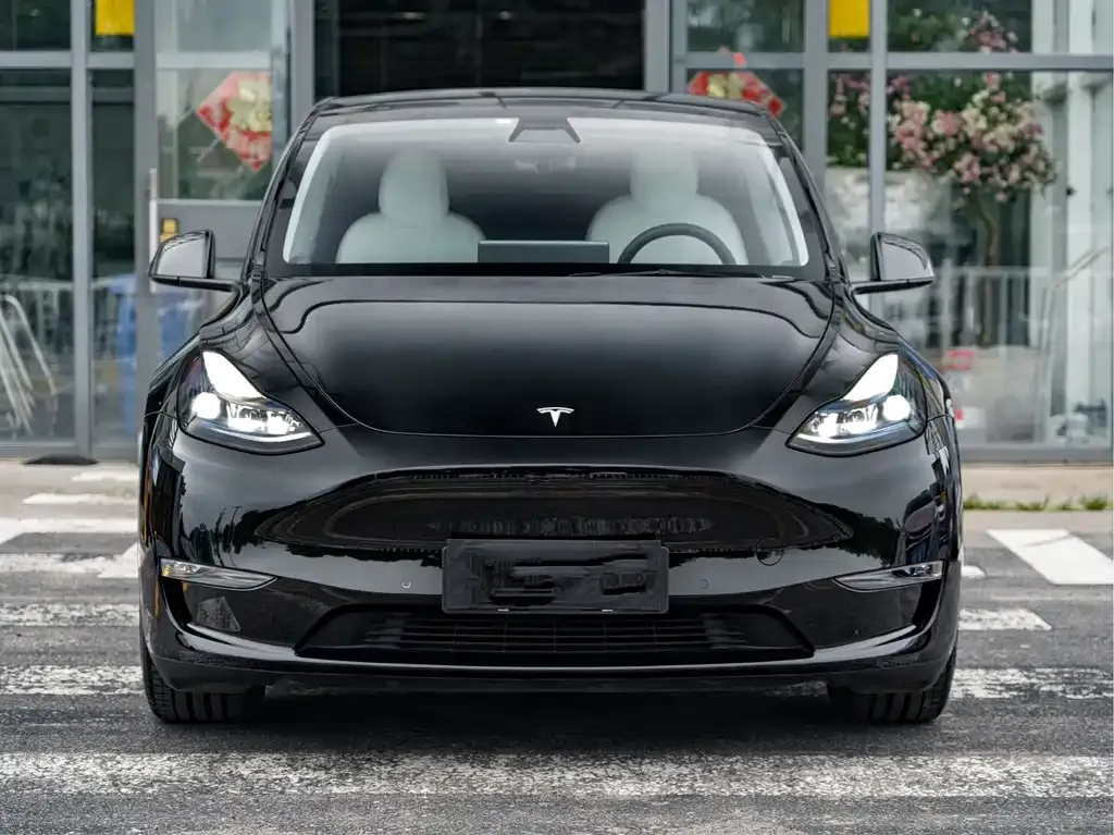 Tesla Model Y — фото 5