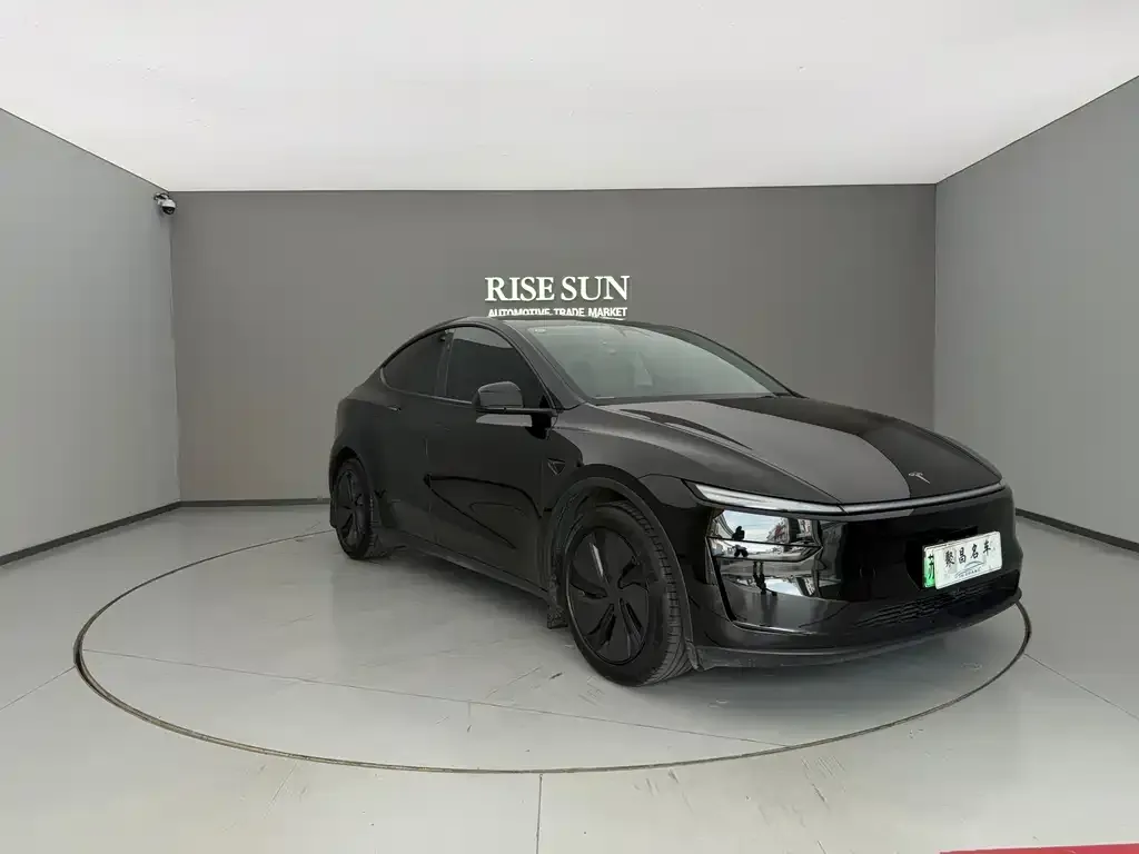 Tesla Model Y — фото 6