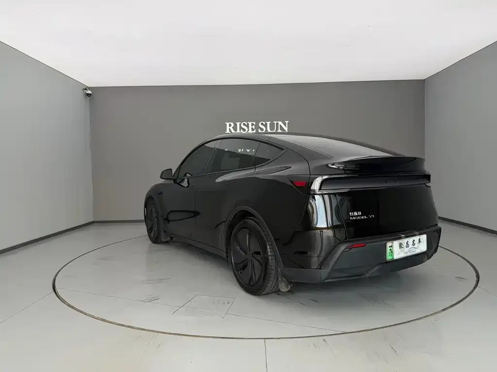 Tesla Model Y — фото 10