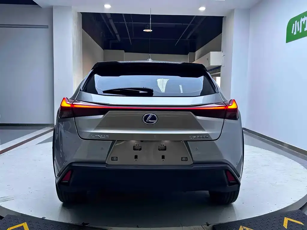 Lexus UX New Energy — фото 6
