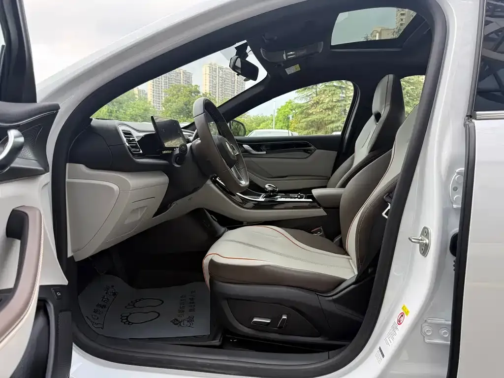 BYD Qin PLUS — фото 4