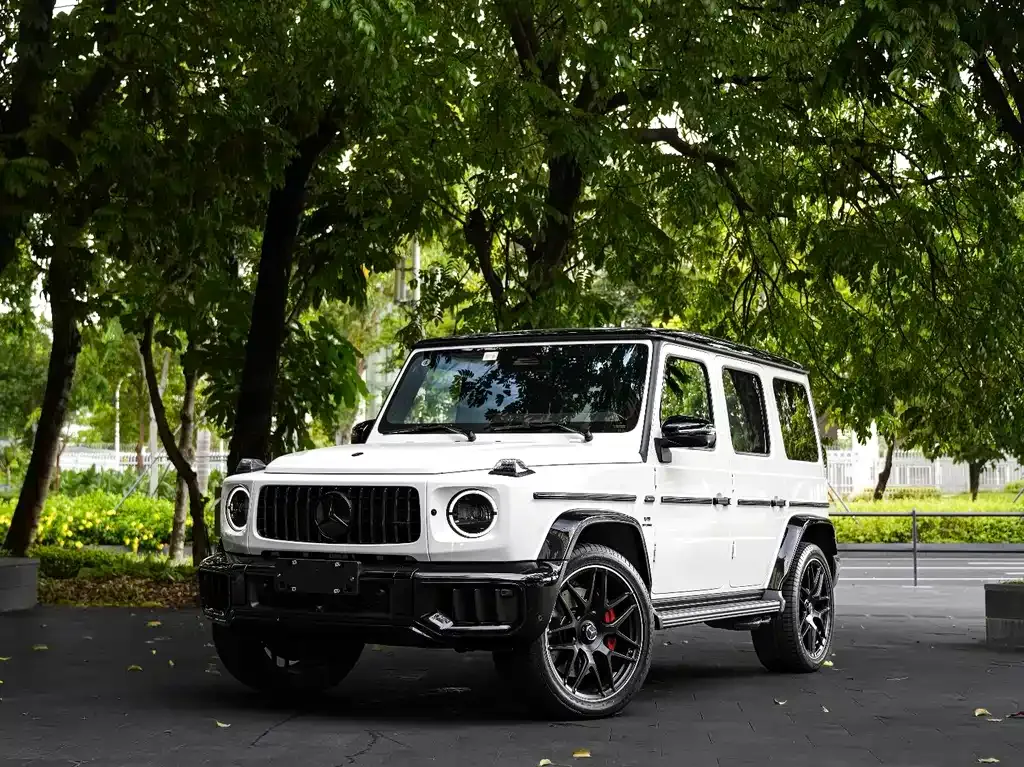 Mercedes-Benz G-Class AMG — фото 1
