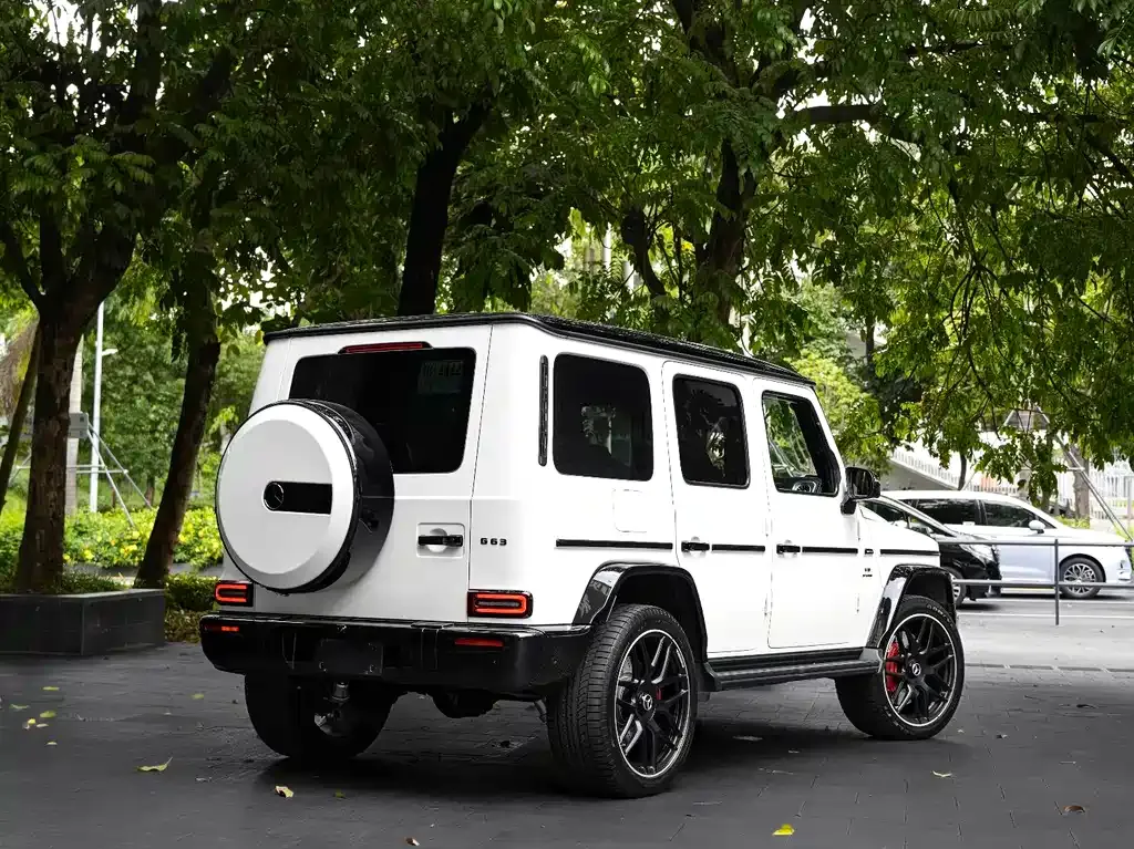 Mercedes-Benz G-Class AMG — фото 7