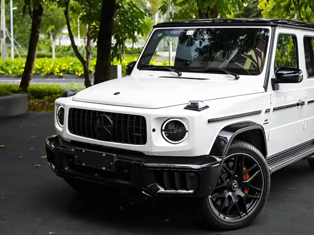 Mercedes-Benz G-Class AMG — фото 10