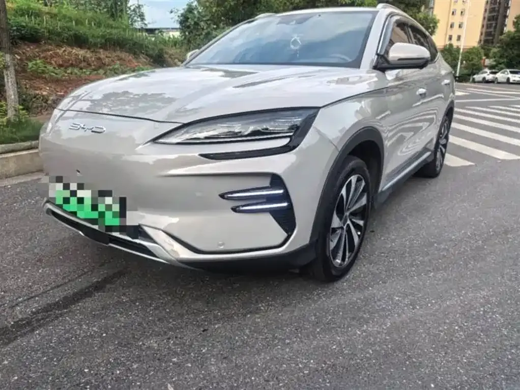 BYD PLUS New Energy — фото 1