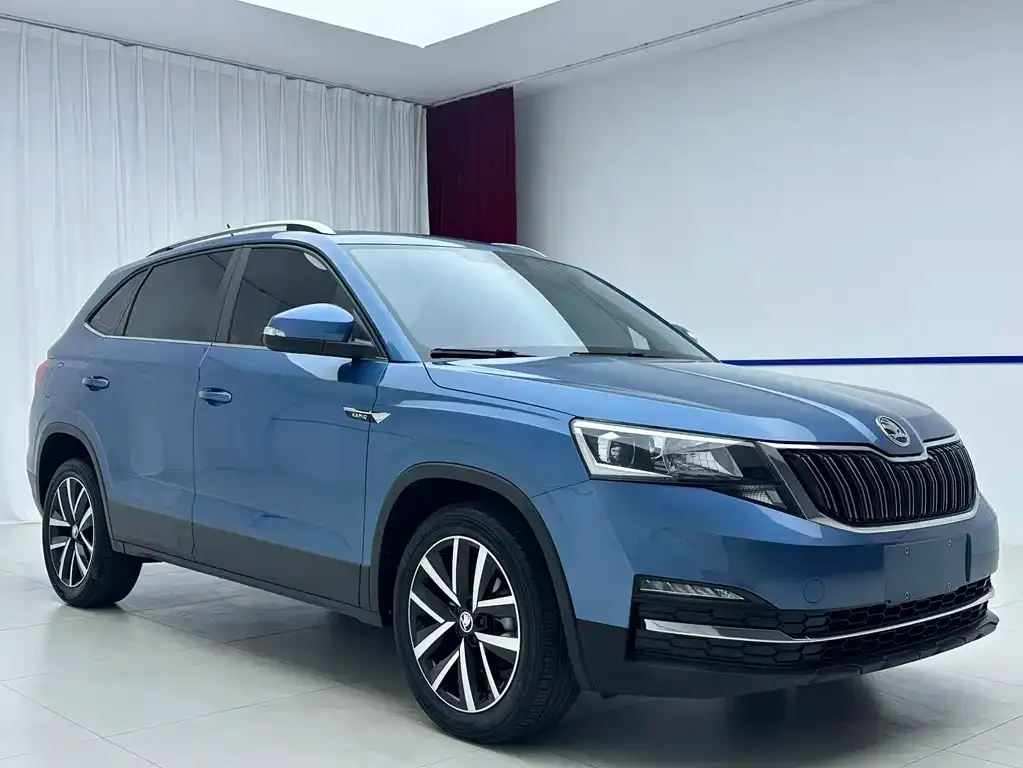 Skoda Kamiq — фото 10