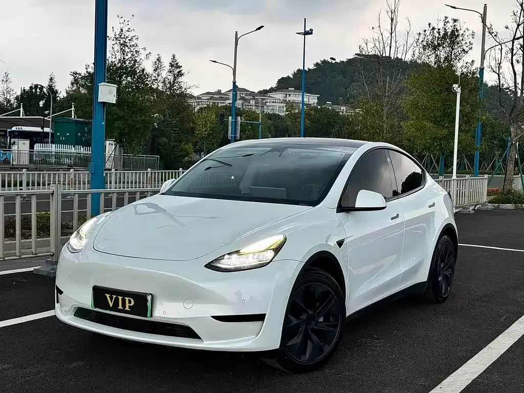 Tesla Model Y — фото 1