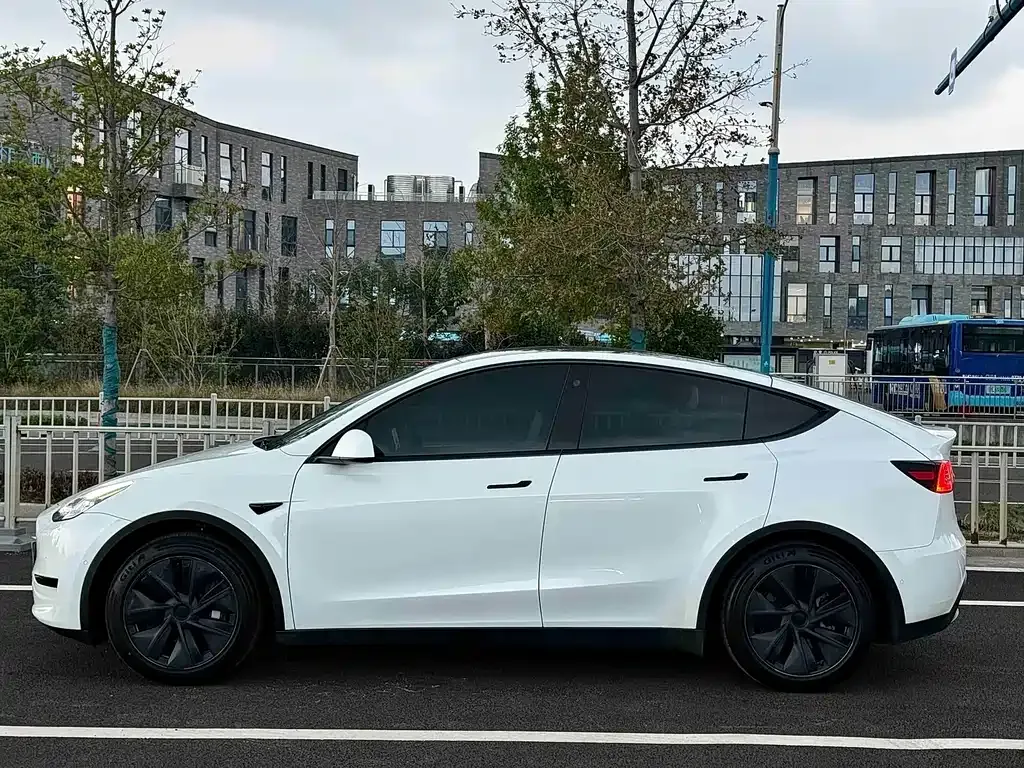 Tesla Model Y — фото 10