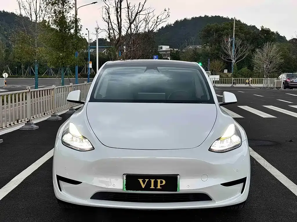 Tesla Model Y — фото 9