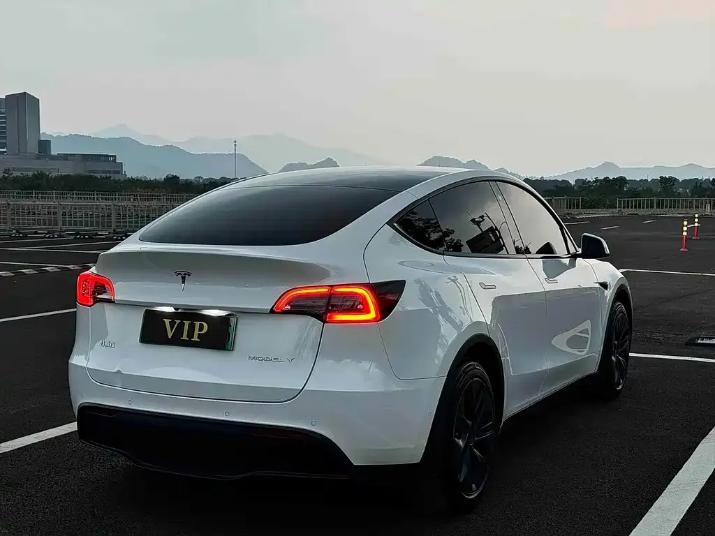 Tesla Model Y — фото 6