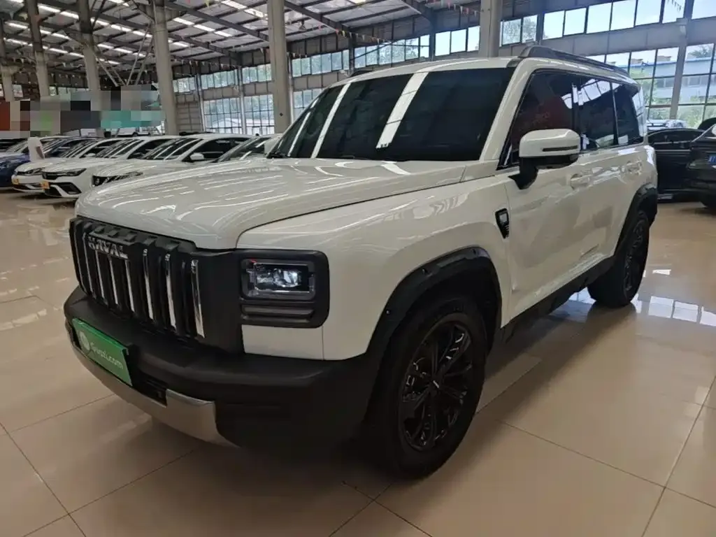 Haval Raptor — фото 6