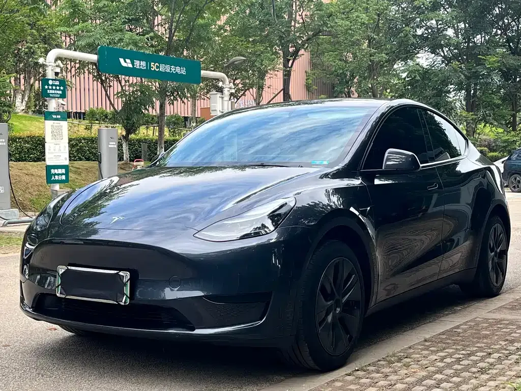 Tesla Model Y — фото 1