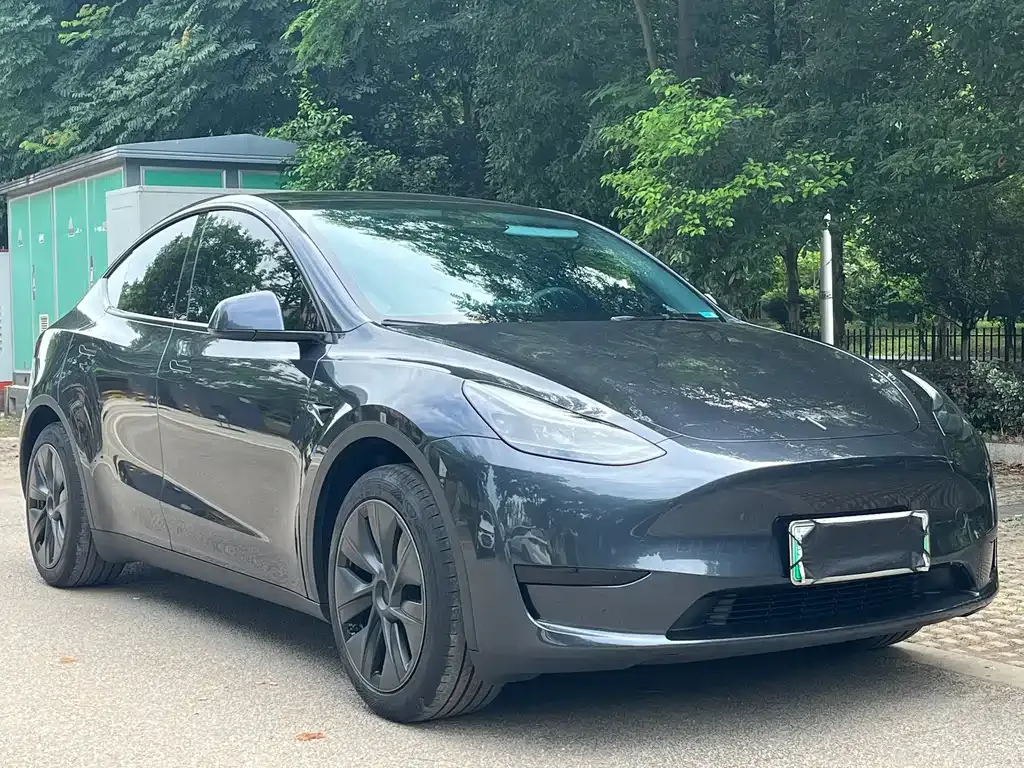 Tesla Model Y — фото 8