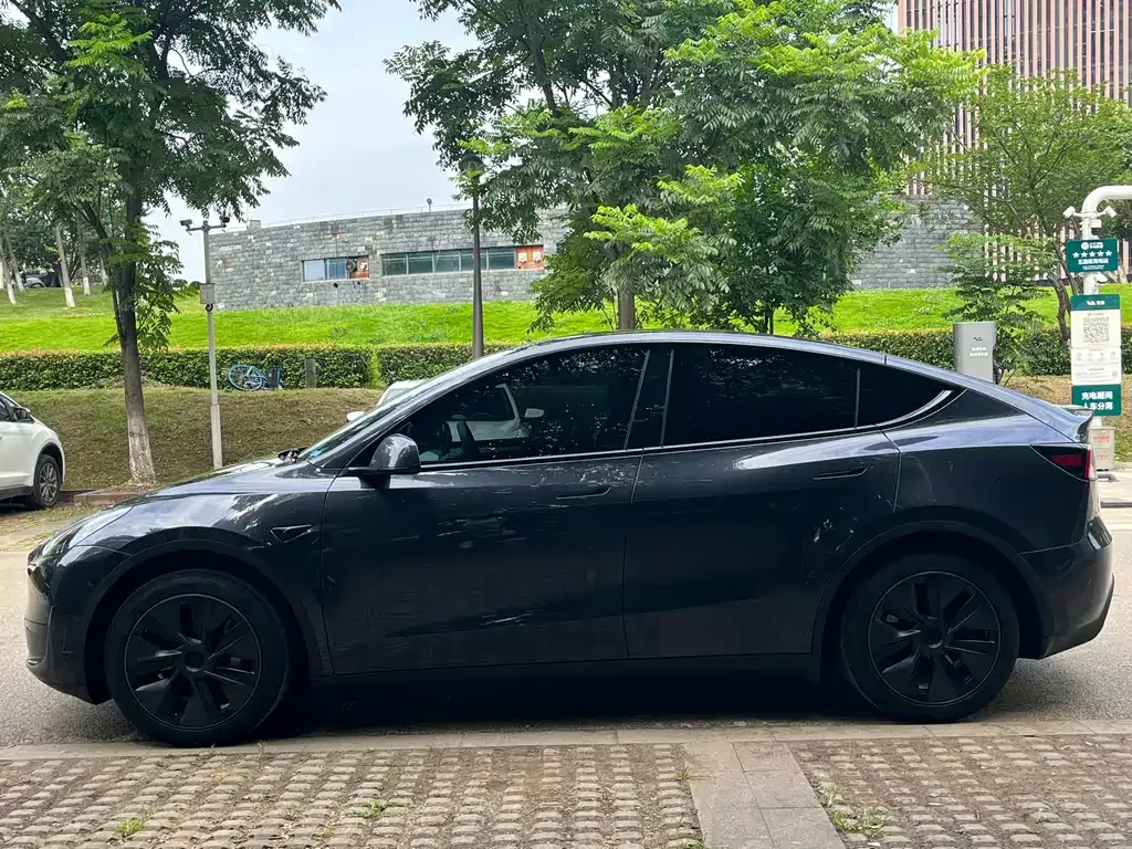 Tesla Model Y — фото 2