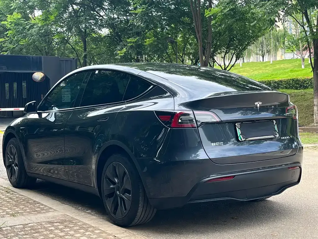 Tesla Model Y — фото 6