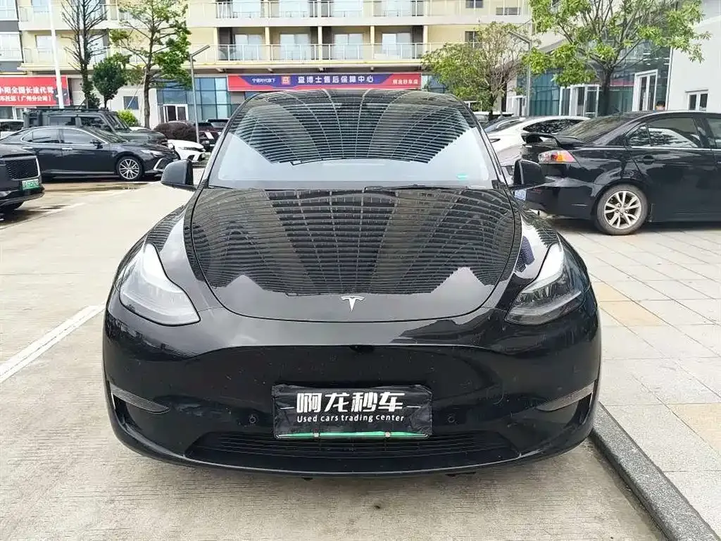 Tesla Model Y — фото 8